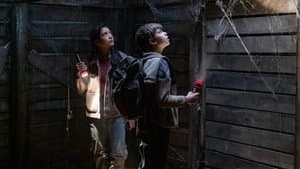 Episodio 11