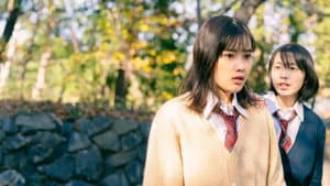 メイヘムガールズ — foto 1