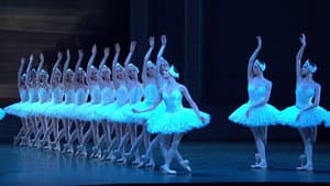 Tchaikovsky: Swan Lake — foto 1