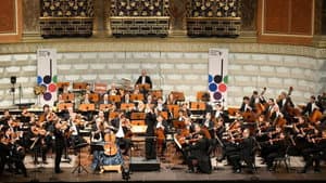 Renaud Capuçon und Julia Hagen spielen Brahms Rheingau Musik Festival 2025 — foto 4