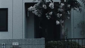 Chime — foto 9
