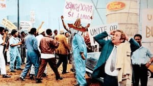 Sistemo l'America e torno — foto 1