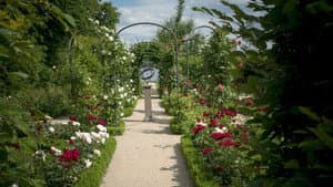 Painting the Modern Garden: Monet to Matisse — foto 3