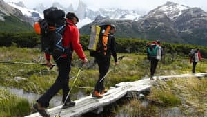 Patagonia Wings — foto 2