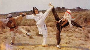 笑面殺手傻小子 — foto 1