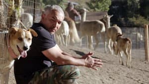 Episodio 8