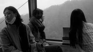 주인들 — foto 1
