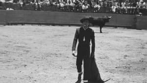 Bullfighter and the Lady — foto 8