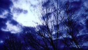 Compline — foto 3