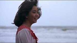 你不要走 — foto 1