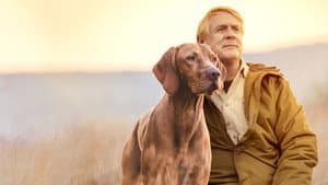 It's a Dog's Life with Bill Farmer — foto 1
