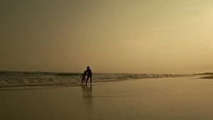 ଗ୍ୟାଙ୍ଗ୍ସ ଅଫ୍ ପୁରୀ — foto 11