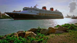 The Wrong Cruise — foto 1