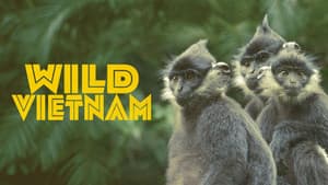 Wild Vietnam — foto 2