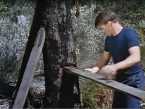 Episodio 22