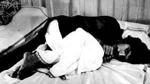 പോക്കുവെയിൽ — foto 2