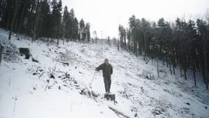 Hlas lesa — foto 10