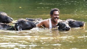 ചാലക്കുടിക്കാരൻ ചങ്ങാതി — foto 2