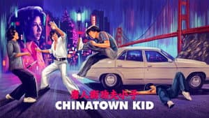 唐人街功夫小子 — foto 1