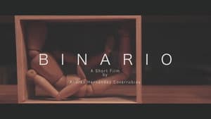 Binario — foto 1