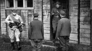 Pułapka — foto 4