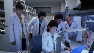 科捜研の女 — foto 1