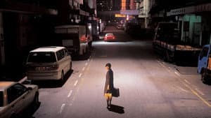文雀 — foto 12