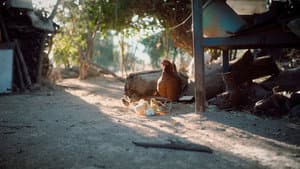 ...Esperanza — foto 2