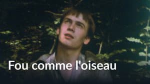 Fou comme l'oiseau — foto 1