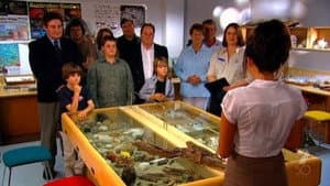 Episodio 6