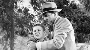 Johnny Rocco — foto 3