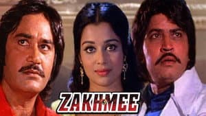 Zakhmee — foto 1