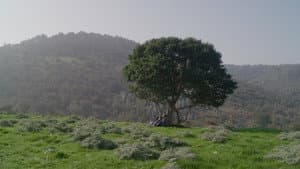 Eva — foto 3