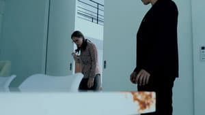 The Visitor — foto 1