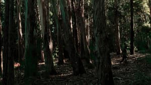 Onde dormen as gaivotas — foto 1