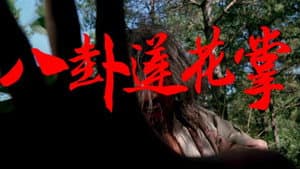 八卦莲花掌 — foto 1