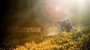 Life Cycles — foto 1