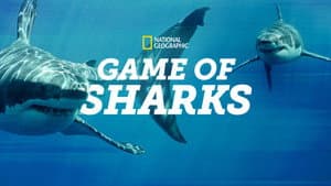 Game of Sharks — foto 4