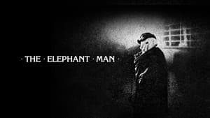 El Hombre Elefante — foto 2