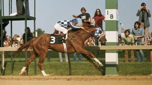 Secretariat — foto 3