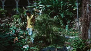 La Soledad — foto 1