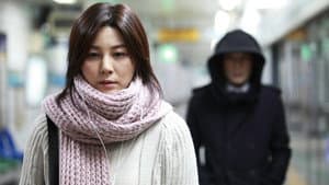 블라인드 — foto 2