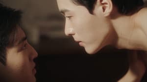 테라피 — foto 6