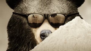 Cocaine Bear: The True Story — foto 1
