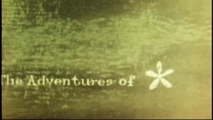 The Adventures of * — foto 1
