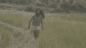Kite — foto 5