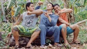 Three Wise Cousins — foto 2