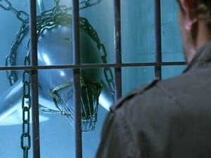 Episodio 5