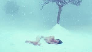 White Bird in a Blizzard — foto 6