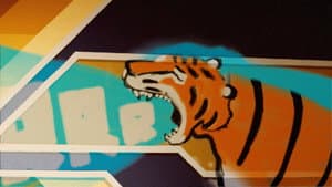 Graffitiger — foto 1